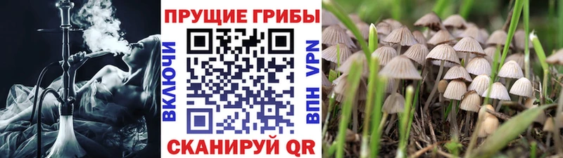 даркнет какой сайт  Чердынь  Псилоцибиновые грибы прущие грибы 